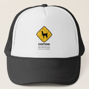 Gorra De Camionero Fanfarronería de la llama del voleo