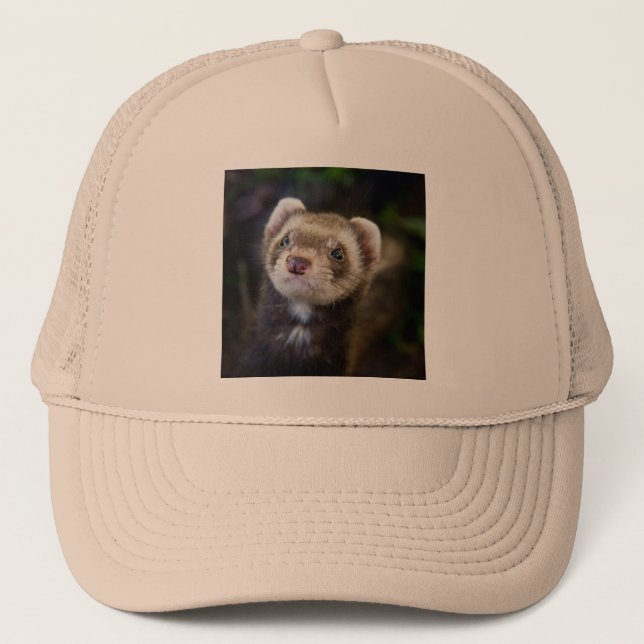 Gorra De Camionero Ferret (Anverso)