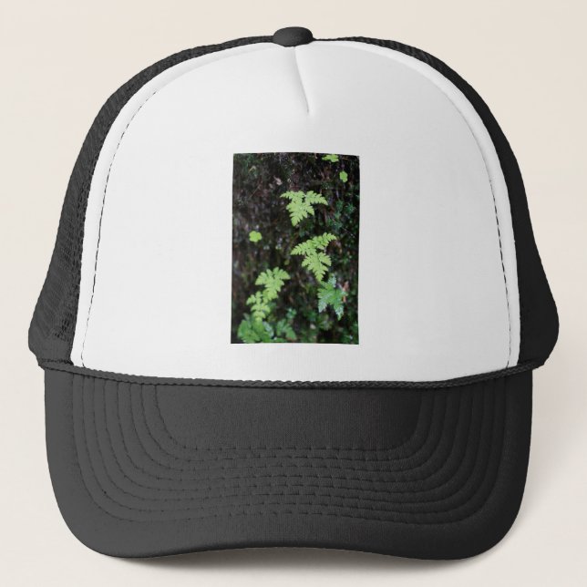 Gorra De Camionero Ferromes - (Anverso)