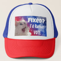 ¿Fijo? Prefiero votar