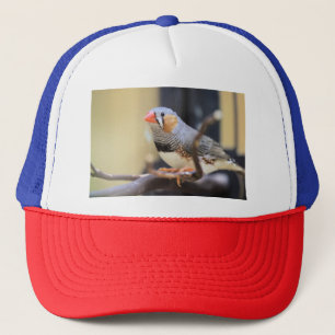 Gorra De Camionero Finch