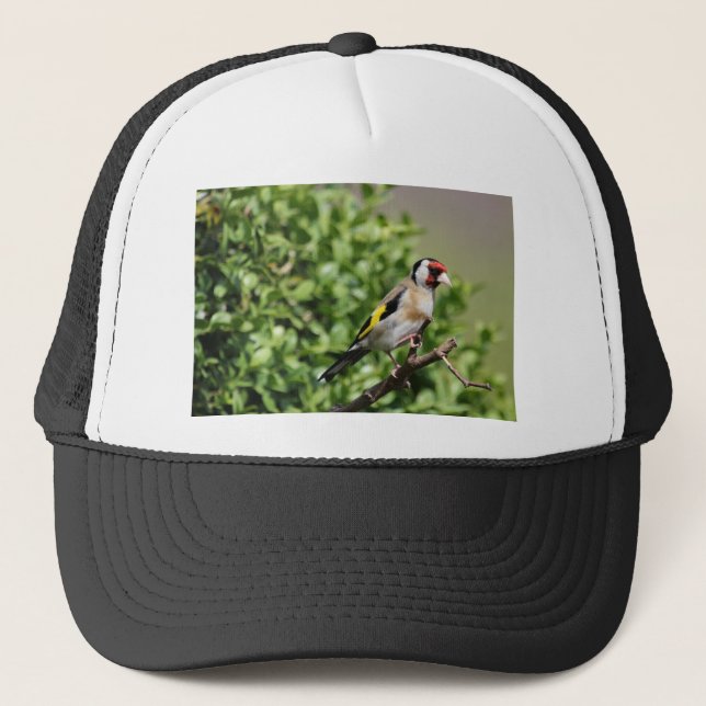 Gorra De Camionero FInch (Anverso)