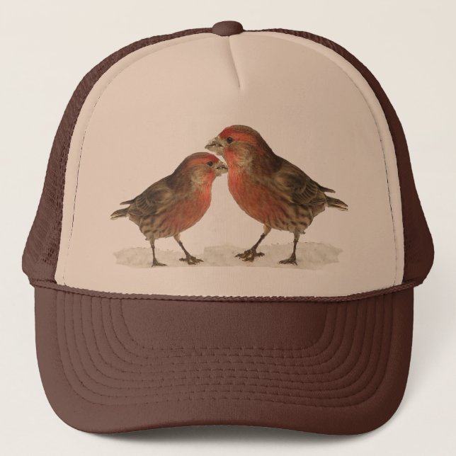 Gorra De Camionero Finches de casa (Anverso)