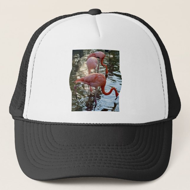 Gorra de camionero flamenco (Anverso)