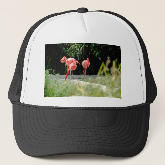 Gorra De Camionero flamingo (Anverso)