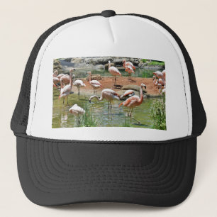 Gorra De Camionero Flamingo rosa