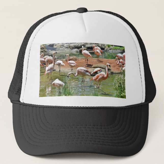 Gorra De Camionero Flamingo rosa (Anverso)