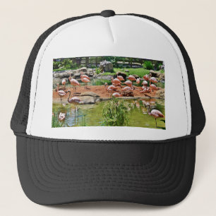 Gorra De Camionero Flamingo rosa