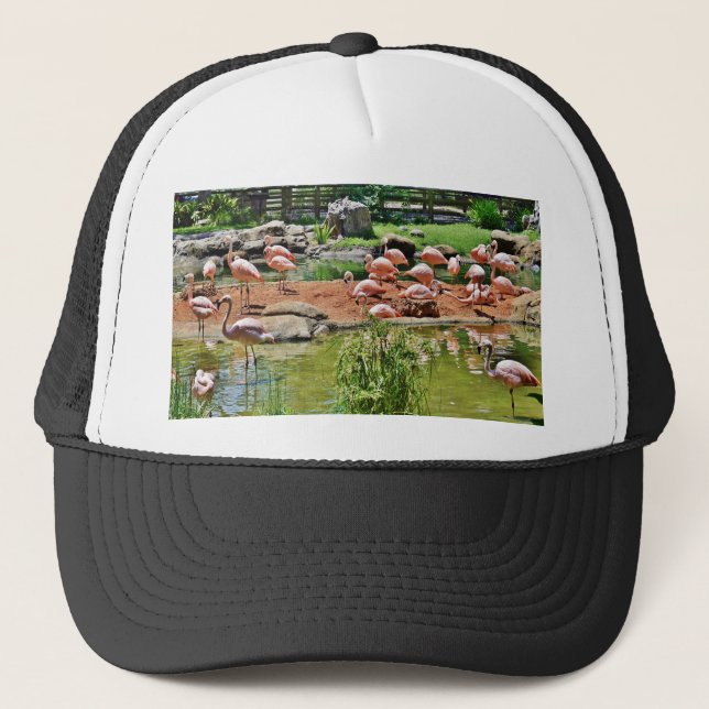 Gorra De Camionero Flamingo rosa (Anverso)