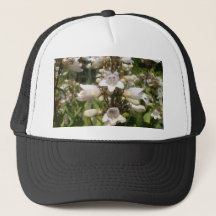 Flor Blanca
