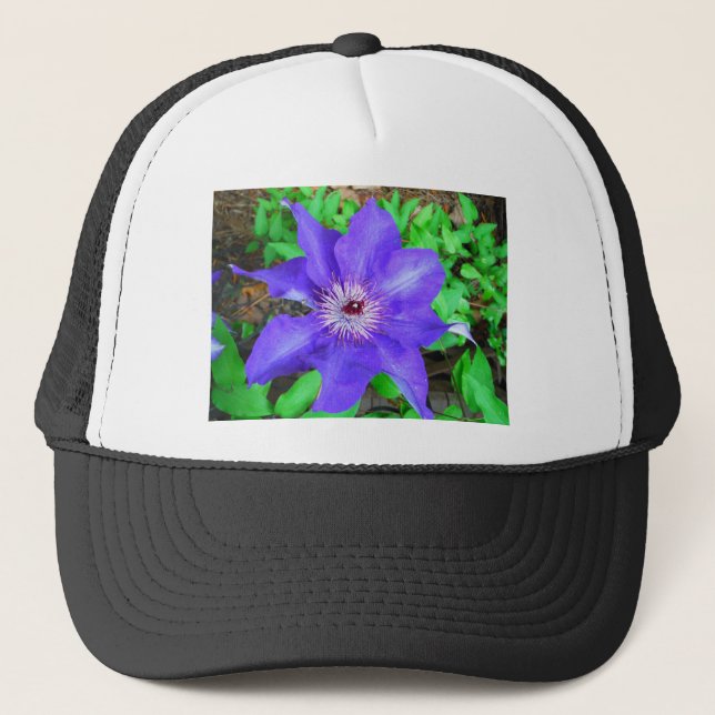 Gorra De Camionero Flor morada de clematis (Anverso)