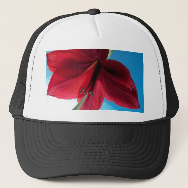 Gorra De Camionero Flor roja Vivid Amaryllis (Anverso)