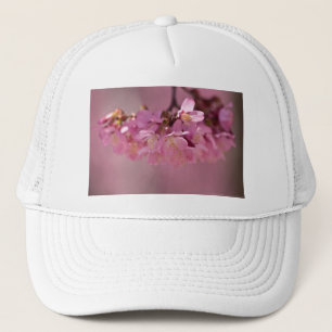 Gorra De Camionero Flores de Cerezo Baño Termal  2012 Ropa  & Regalos