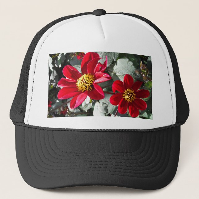 Gorra De Camionero flores de margarita rosada roja / margarita (Anverso)