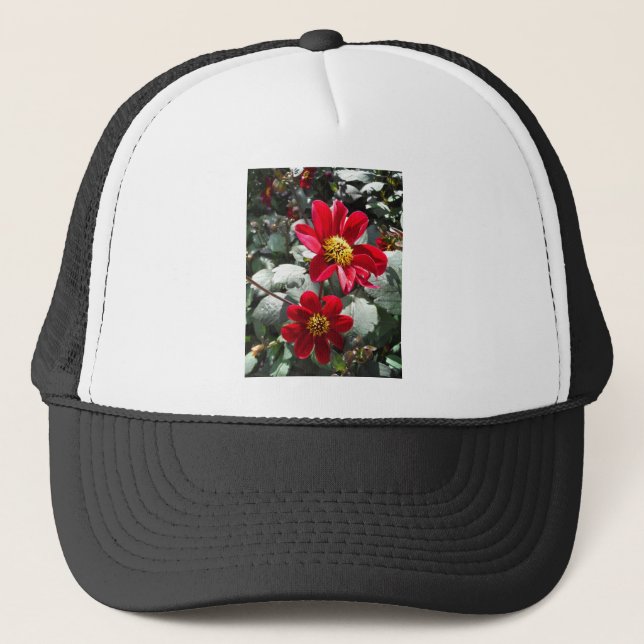 Gorra De Camionero flores de margarita rosada roja / margarita (Anverso)