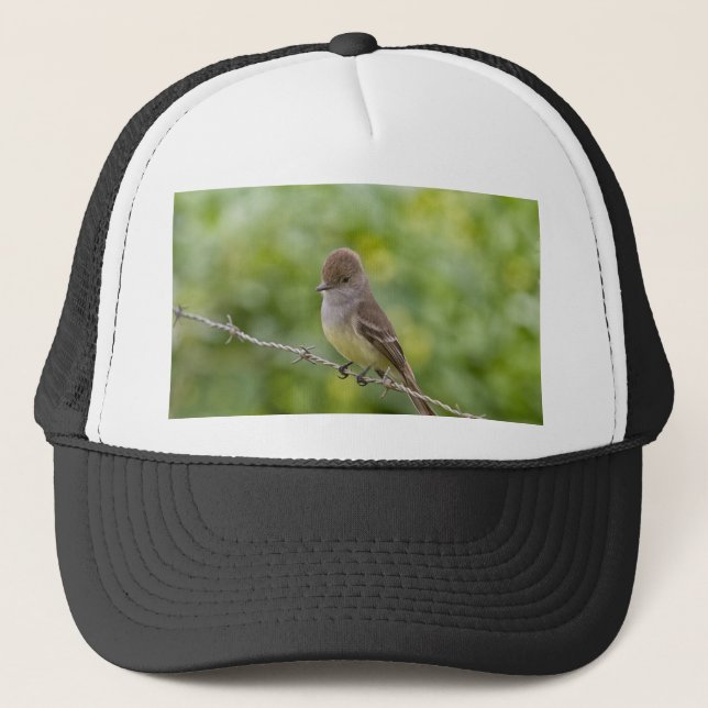 Gorra De Camionero Flycatcher (Anverso)