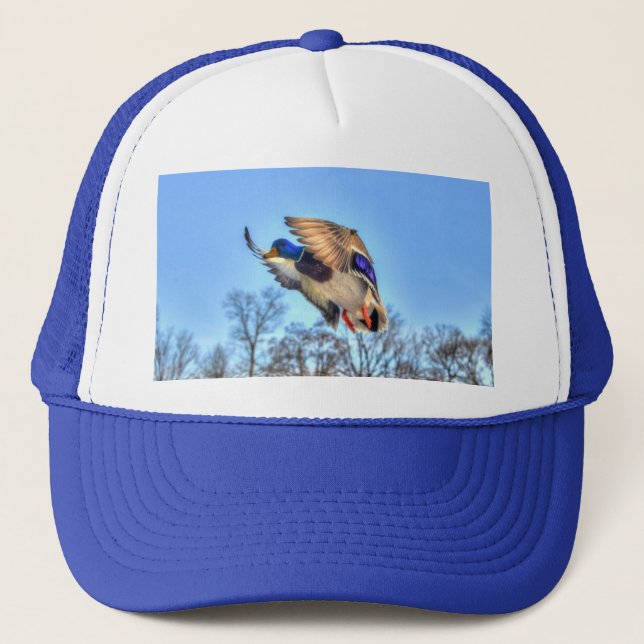 Gorra De Camionero Flying Mallard Duck Drake Wildlife Photo (Anverso)