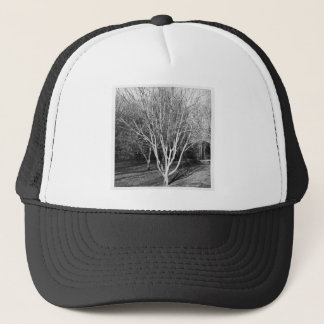 Gorra De Camionero Foto cuadrada - Árbol