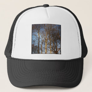 Gorra De Camionero Foto cuadrada - Árboles invernales iluminados por 