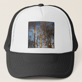 Gorra De Camionero Foto cuadrada - Árboles invernales iluminados por