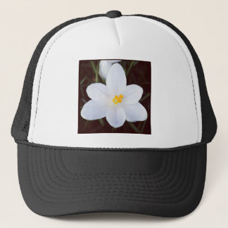 Gorra De Camionero Foto cuadrada - Crocus blanco