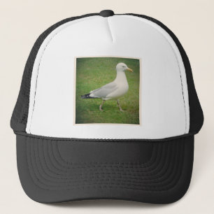 Gorra De Camionero Foto cuadrada - Gaviota caminante