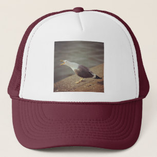 Gorra De Camionero Foto cuadrada - Gaviota de despertar