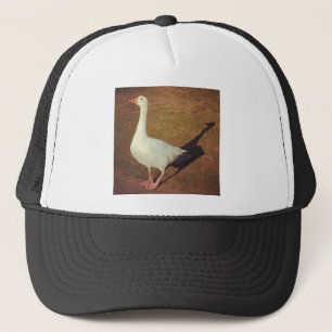 Gorra De Camionero Foto cuadrada - Goose