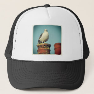 Gorra De Camionero Foto cuadrada - Percha favorita
