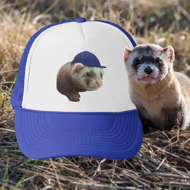 Gorra De Camionero Foto de la cabeza azul con un Ferret (Ferret Wearing Blue Headgear Photo Trucker Hat)