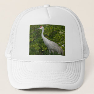 Gorra De Camionero Foto de pájaro de Sandhill Crane