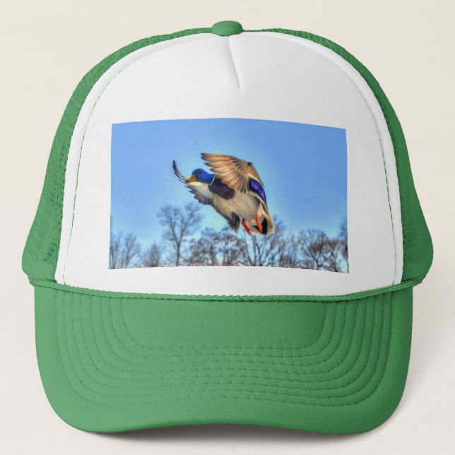 Gorra De Camionero Foto de vida silvestre de Drake con pato mallard v (Anverso)