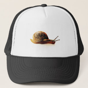 Gorra De Camionero Fotografía de caracol de jardín en la naturaleza