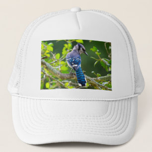 Gorra De Camionero Fotografía de la naturaleza Regalos de Jay Shy Blu
