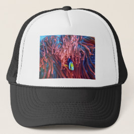 Gorra De Camionero Fotos acuáticas náuticas Fotografía de animales ma