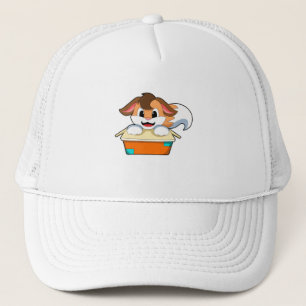 Gorra De Camionero Fox con caja