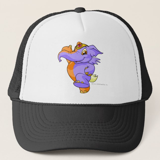 Gorra De Camionero Fractura de Elephante (Anverso)