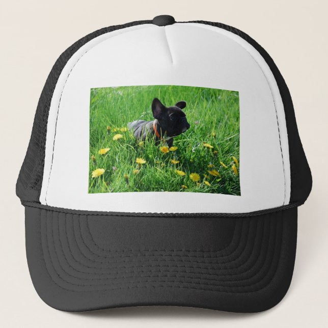Gorra De Camionero Französische Bulldoggen Kappe (Anverso)