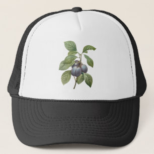 Gorra De Camionero Fruta culinaria vintage, ciruelas moradas de Redou