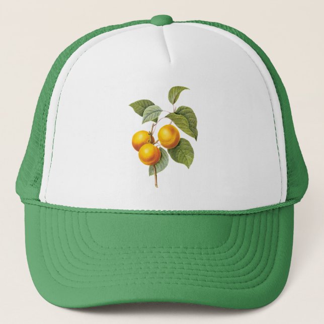 Gorra De Camionero Fruta de la comida de la cosecha, Apricot Peach by (Anverso)