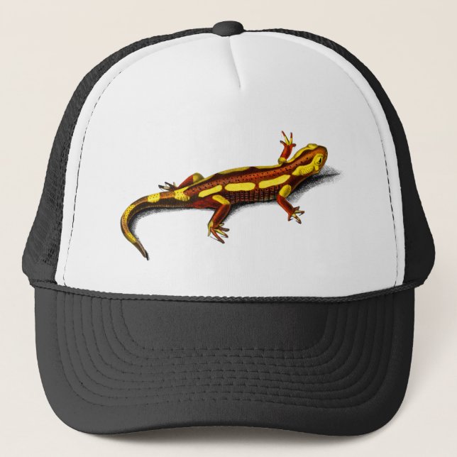 Gorra De Camionero Fuego de época Salamander (Anverso)