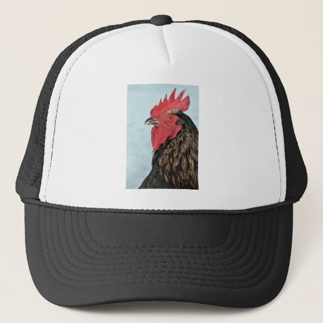 Gorra De Camionero Gallo (Anverso)