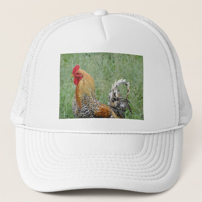 Gorra De Camionero Gallos (Anverso)