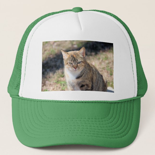 Gorra De Camionero Gato (Anverso)