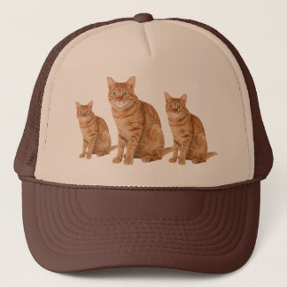 Gorra De Camionero Gato
