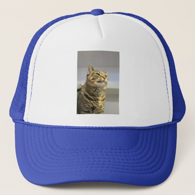 Gorra De Camionero Gato (Anverso)