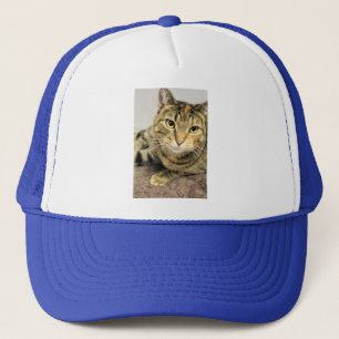 Gorra De Camionero Gato