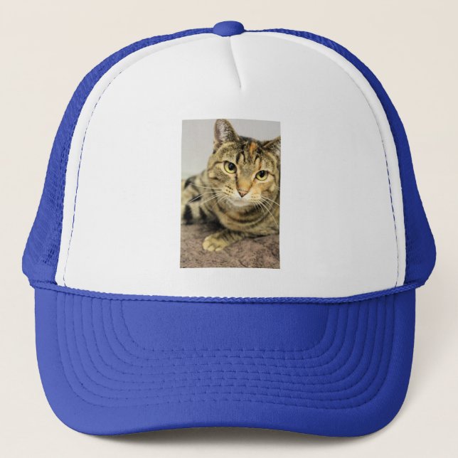 Gorra De Camionero Gato (Anverso)
