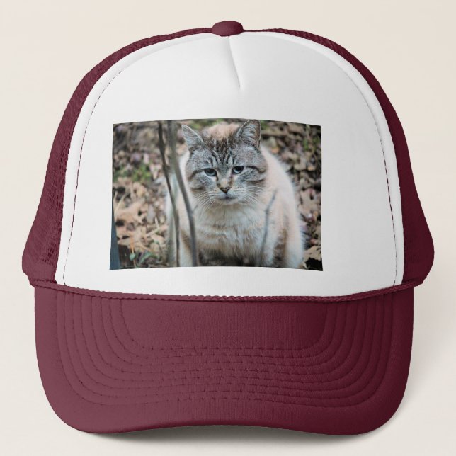 Gorra De Camionero Gato (Anverso)