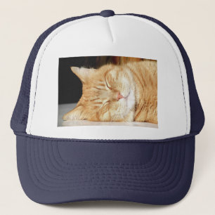 Gorra De Camionero gato